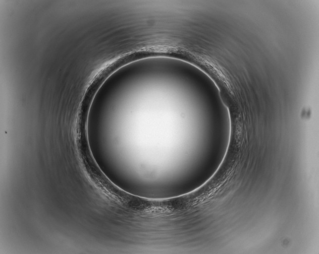 X0000099580536200805161238