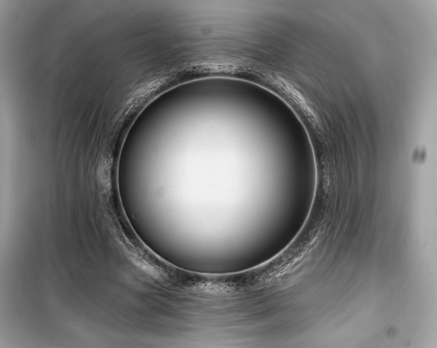 X0000099580537200805161238