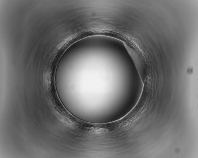 X0000099580539200805161238