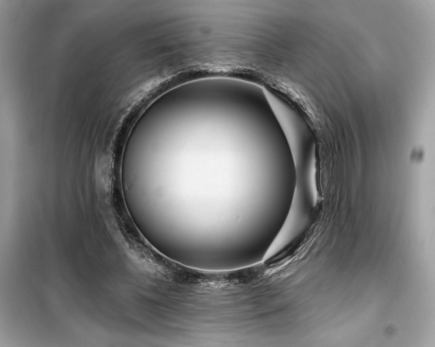 X0000099580540200805161238