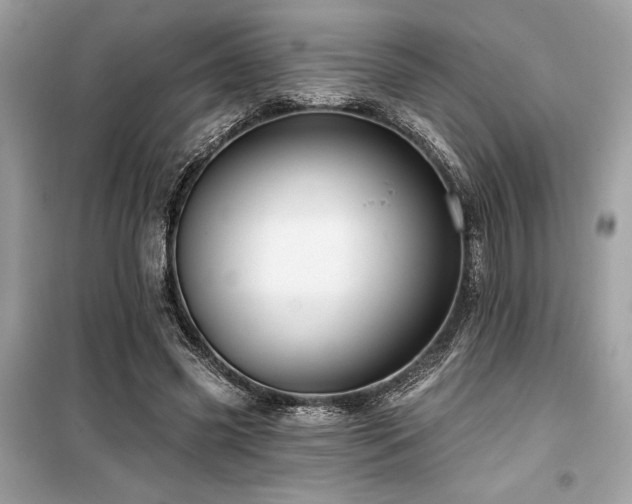 X0000099580541200805161238