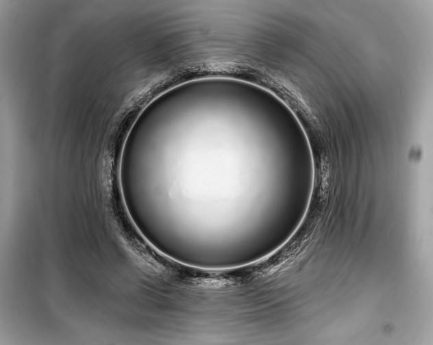 X0000099580542200805161238