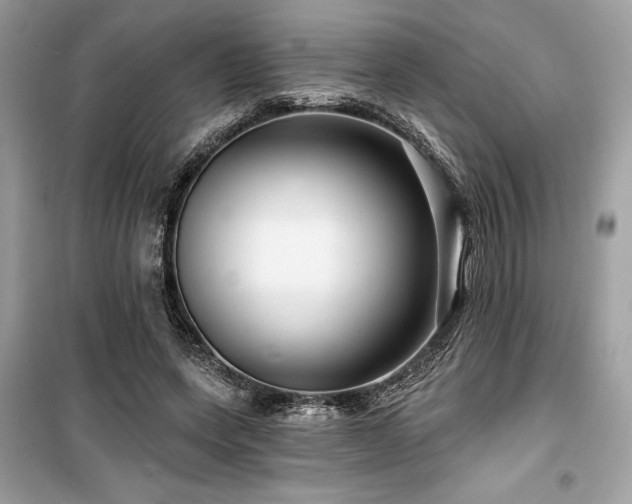 X0000099580543200805161238