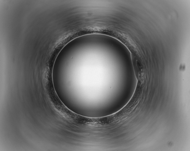 X0000099580544200805161238