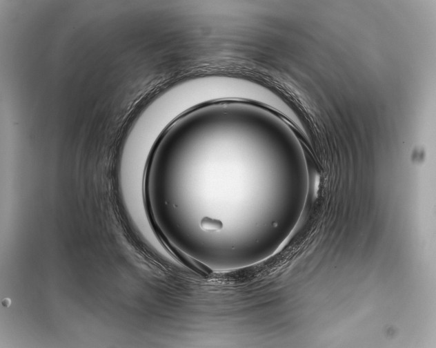 X0000099580546200805161238