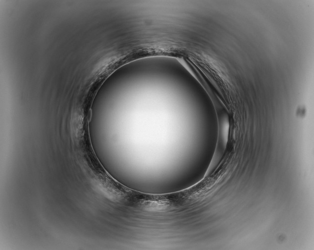 X0000099580548200805161238