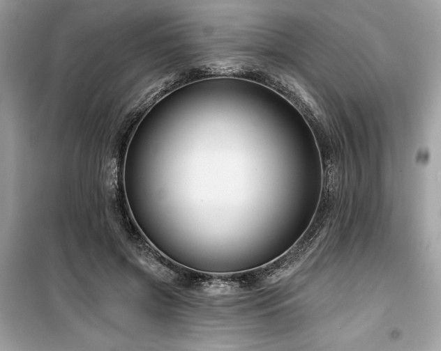 X0000099580549200805161238
