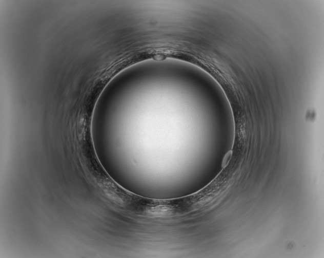 X0000099580551200805161238
