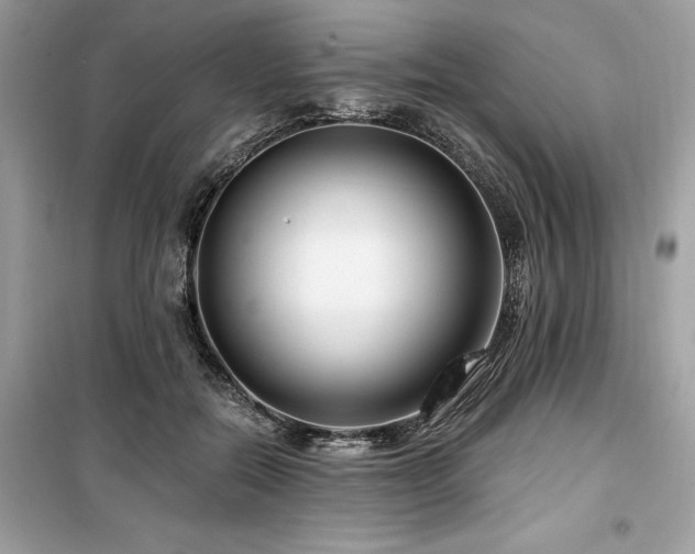 X0000099580554200805161238