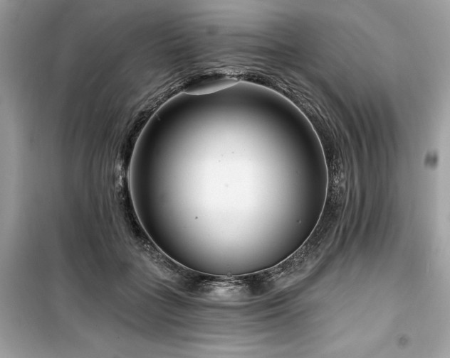 X0000099580555200805161238