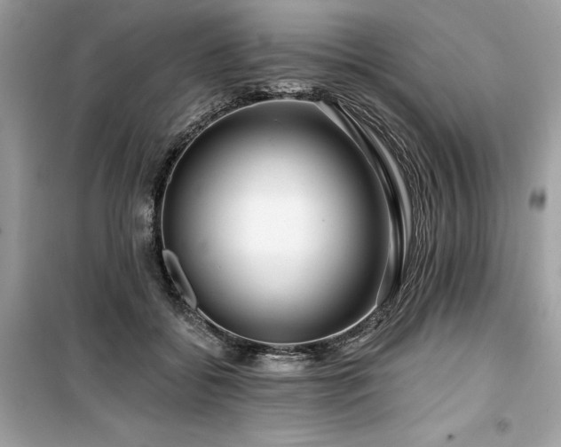 X0000099580556200805161238
