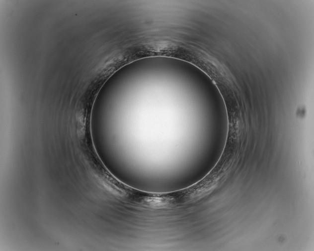X0000099580558200805161238