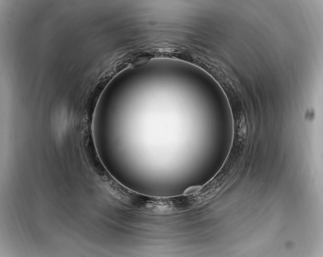 X0000099580559200805161238