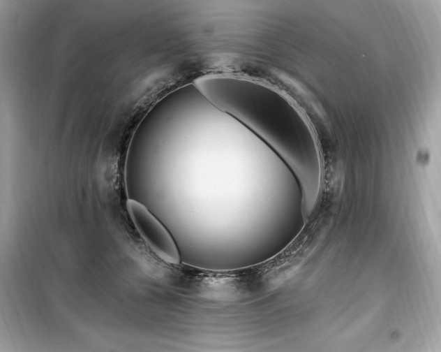 X0000099580560200805161238