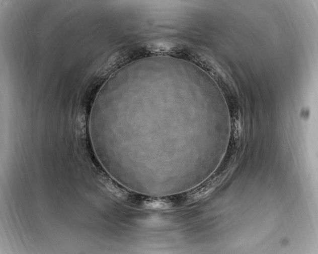 X0000099580561200805161238