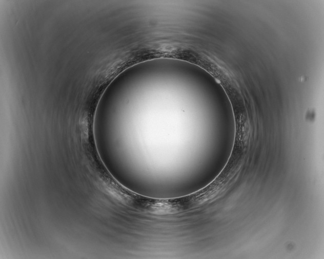 X0000099580562200805161238