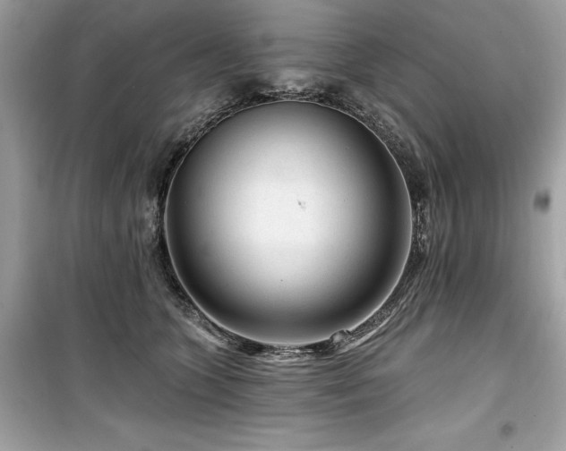 X0000099580563200805161238