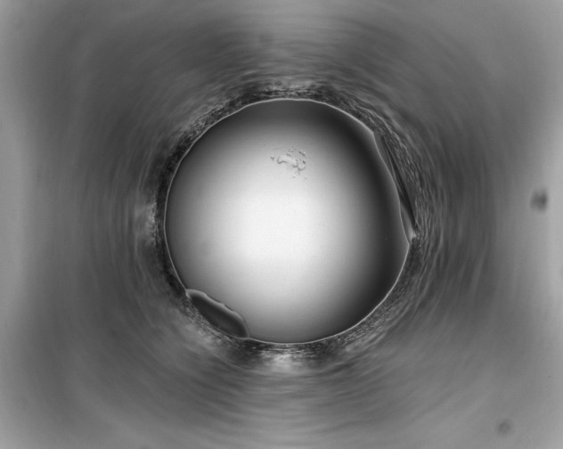 X0000099580564200805161238