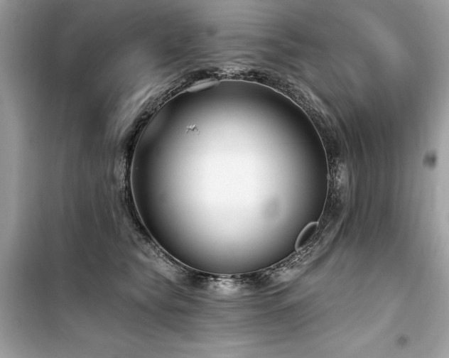 X0000099580565200805161238
