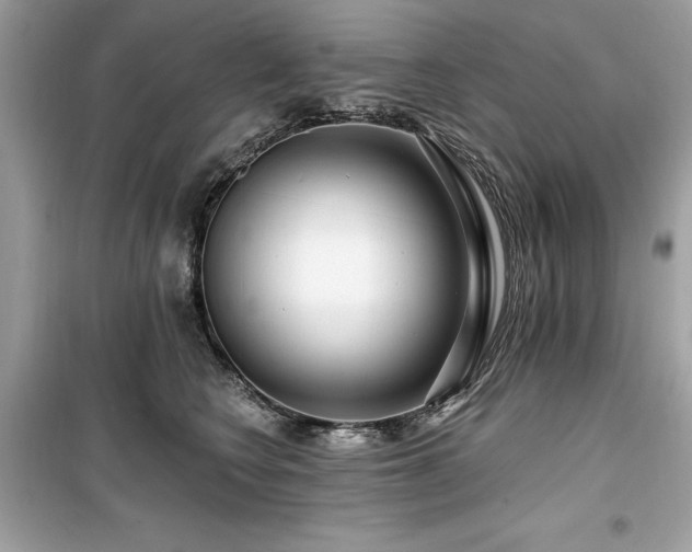 X0000099580566200805161238