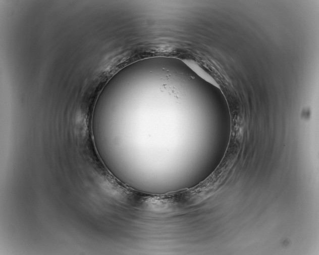 X0000099580568200805161238
