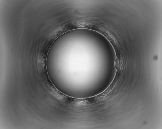 X0000099580569200805161238