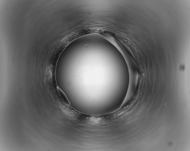 X0000099580570200805161238