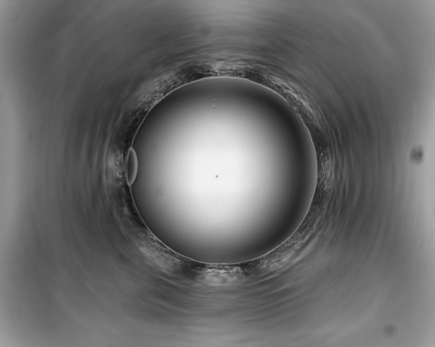 X0000099580571200805161238