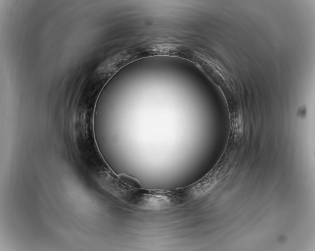 X0000099580572200805161238