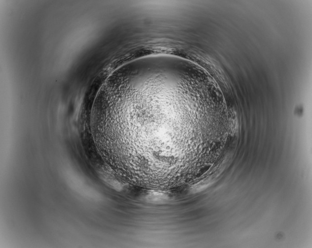X0000099580573200805161238