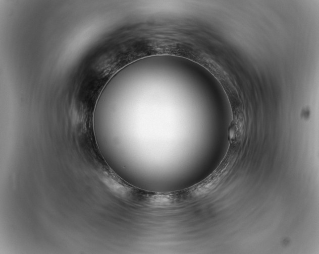 X0000099580574200805161238