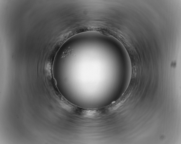 X0000099580575200805161238