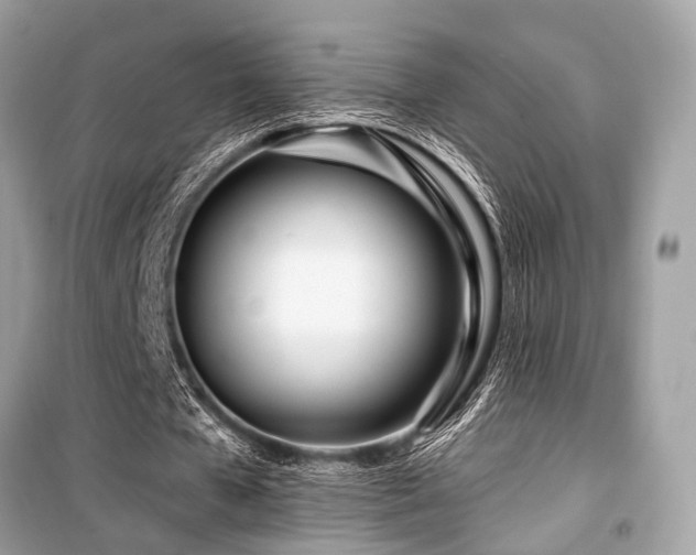 X0000099580577200805161238
