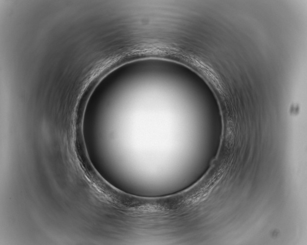 X0000099580578200805161238