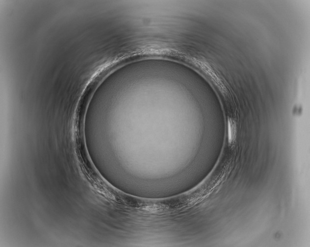 X0000099580579200805161238