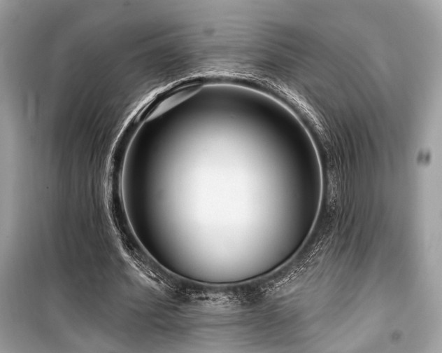 X0000099580580200805161238