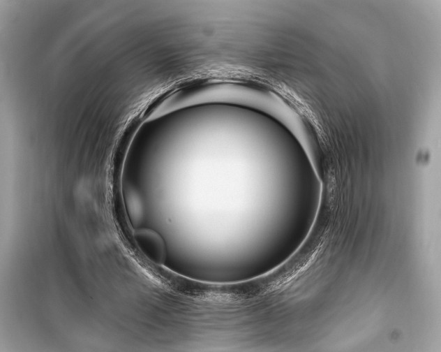 X0000099580581200805161238