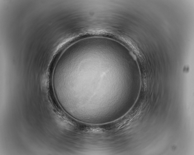 X0000099580583200805161238