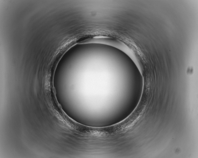 X0000099580585200805161238