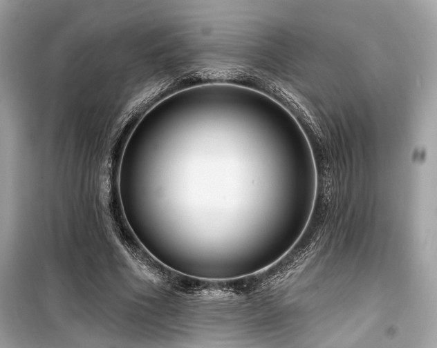 X0000099580586200805161237