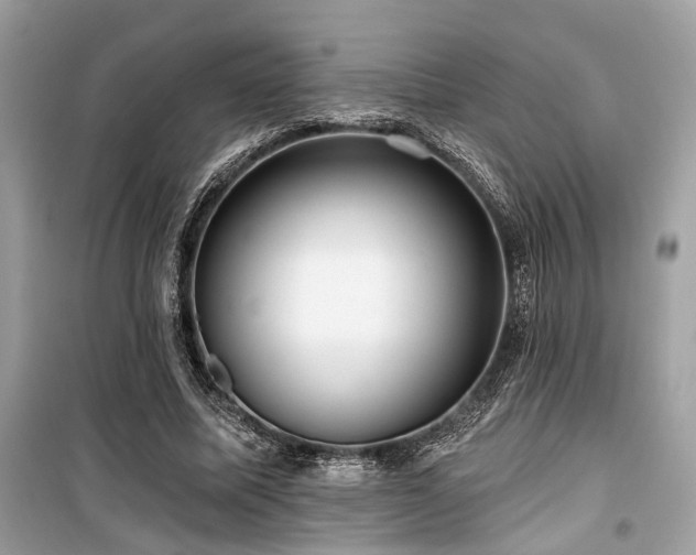 X0000099580587200805161237