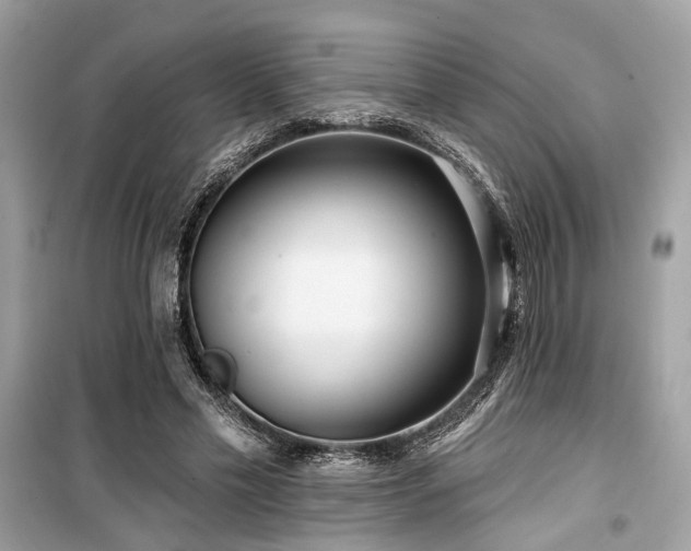 X0000099580589200805161237