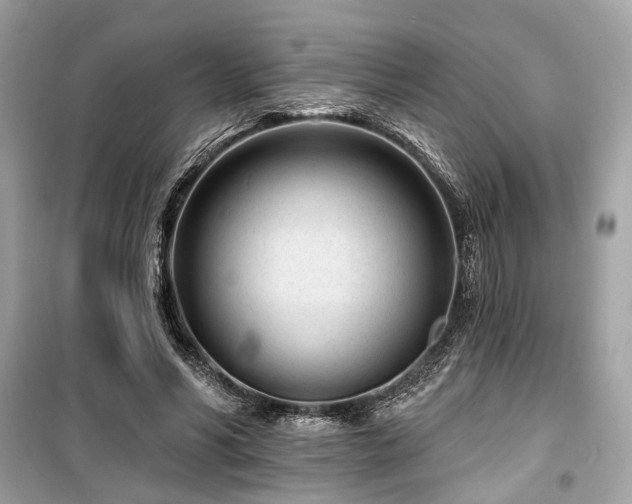 X0000099580590200805161237