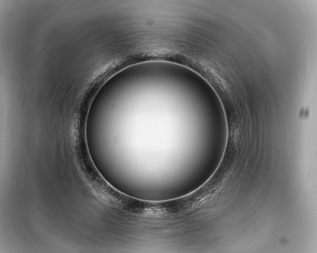 X0000099580591200805161237
