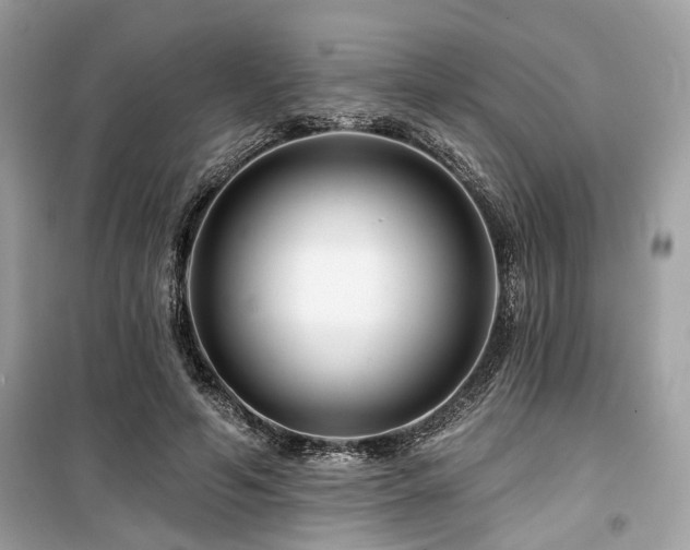 X0000099580594200805161237
