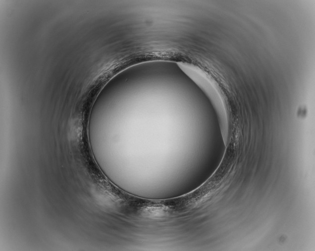 X0000099580595200805161237