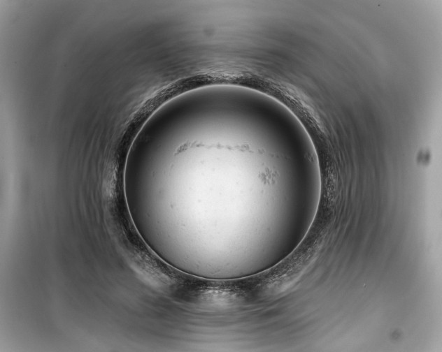 X0000099580596200805161237