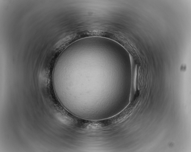 X0000099580599200805161237