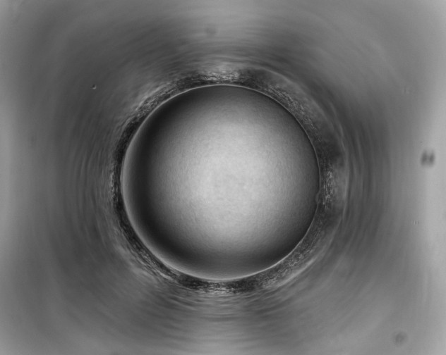 X0000099580600200805161237