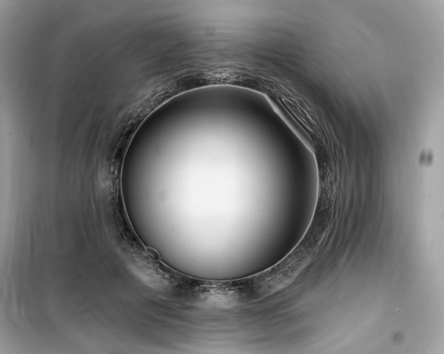 X0000099580601200805161237